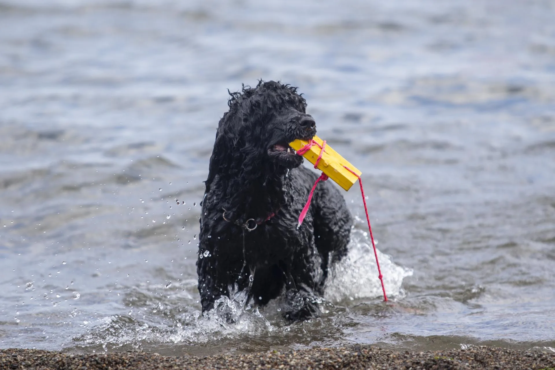 Vannarbeid 30.05.-1.06.2025