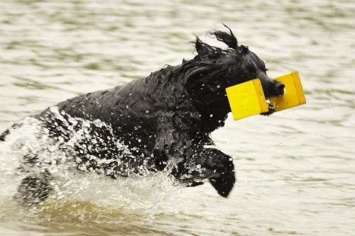 Rasespesialen 2024 – bilder