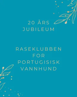 Jubileumsår RPVH 20 år
