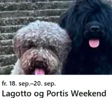 Lagotto og Portis Weekend 2026