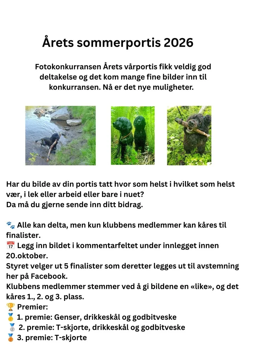 Årets sommerportis 2026