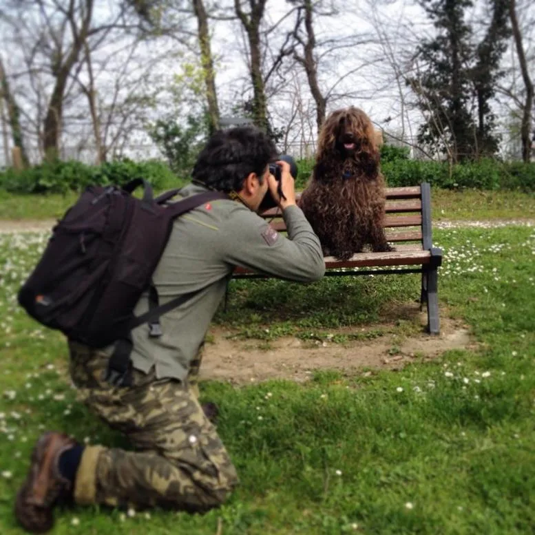 Hund fotograf tar bilde