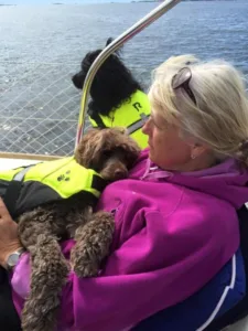 Hund i fang på baåt