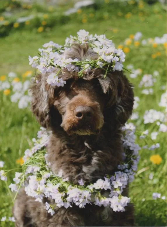 Handlerseminar Drammen