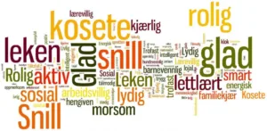 Teksbilde med alle ordene