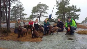 Hund treff med tur