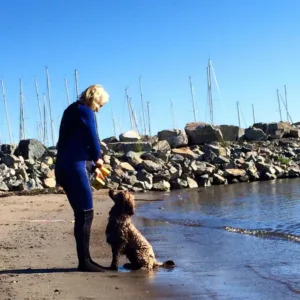 Hund vannbilde eier tar i mot apport