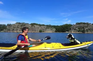 Hund vannbilde i kajakk